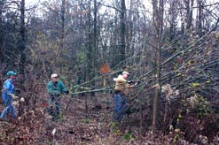 Volunteers Clear CMA Entrance