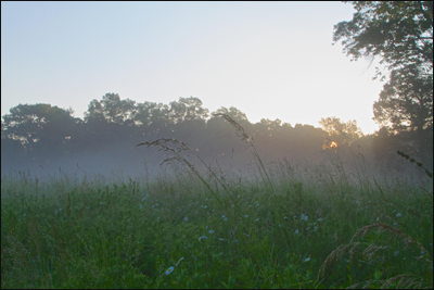 "Dawn at Primrose Farm," by Ashleigh Scully, Morristown, NJ. Copyright ©2013 Great Swamp Watershed Association.