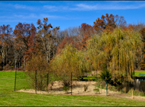 Fall colors on display at Bayne Park in Harding Township, NJ.