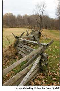 Fence at Jockey Hollow