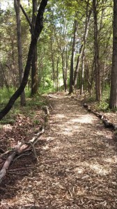 Public access trail at Primrose Farm in Harding