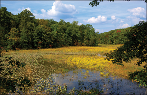 Credit: Bill Wallen/USFWS