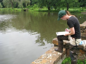 Kelly Martin completing a data sheet at Bayne Park pond.