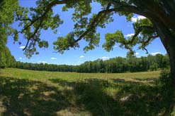 Primrose Farm. Photo by Ari Kaufman, July 2011