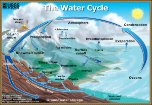 The Water Cycle. Credit: U.S. Dept. of the Interior. U.S. Geological Survey. John Evans, Howard Perlman, USGS.