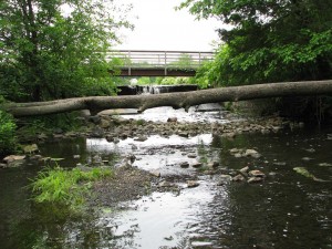 LB2M, located just downstream from Kitchell Pond