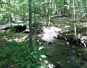 Primrose Brook in Jockey Hollow continues to have low E. coli during all but the heaviest rains. Credit GSWA/A. Ostella. 6/24/2015