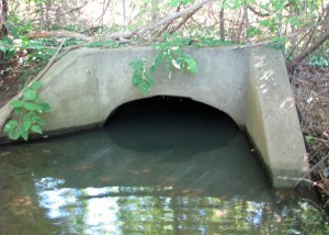 The sample at LBE was collected from where this culvert meets Loantaka Brook (photo taken on 8/27/2015)