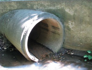 This pipe is approximately 4’ in diameter. We aren’t sure what it normally discharges to Loantaka Brook, but during dry weather on 8/27/2015 it had a low flow