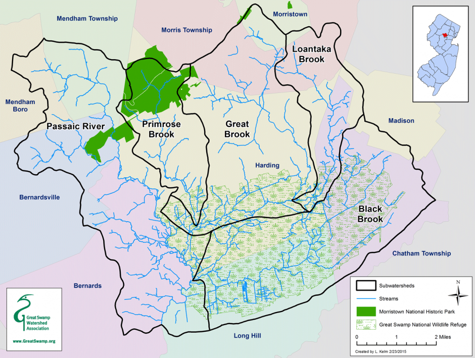 Feeder Stream — The Living River