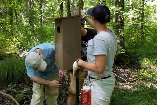 volunteer with Great Swamp Watershed Association