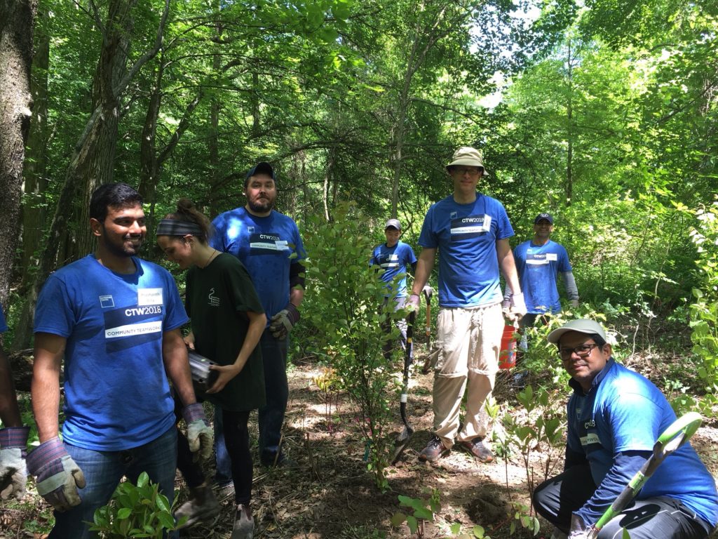 native plants and stewardship