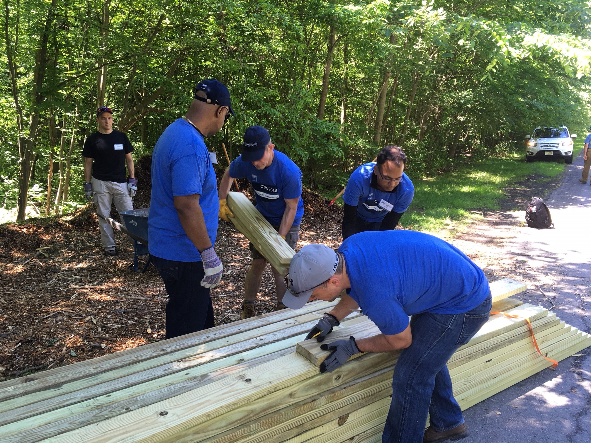 CTW volunteers lumber for conservation boardwalk
