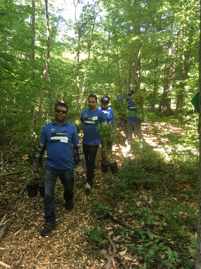 CTW volunteers carrying native plants for Harding Township conservation management area