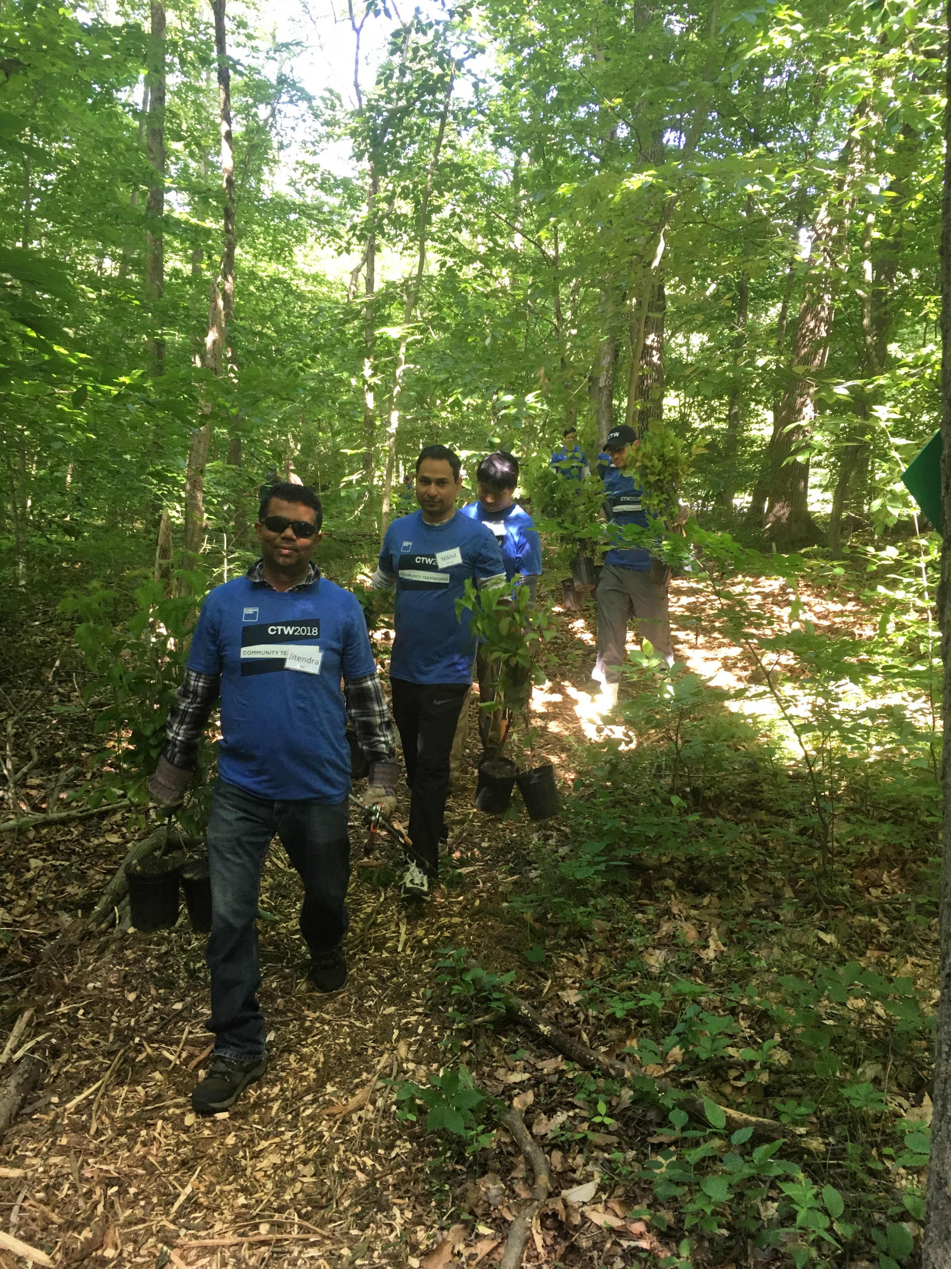CTW volunteers carrying native plants for Harding Township conservation management area