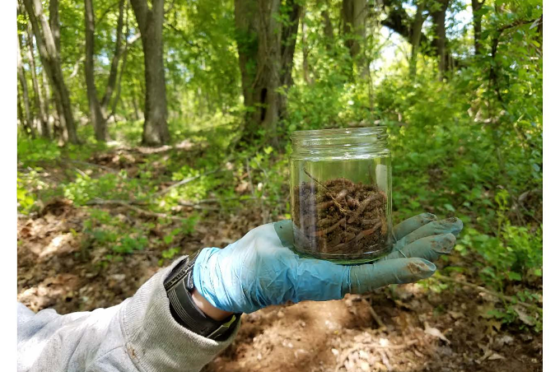 Rolling Knolls, EPA photo 1