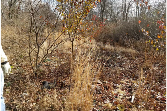 Rolling Knolls, EPA Photo 6