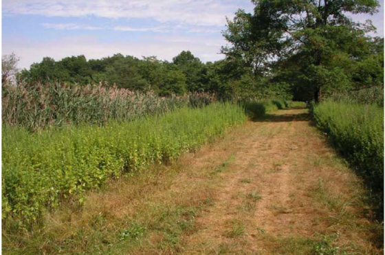 Rolling Knolls, EPA photo 4