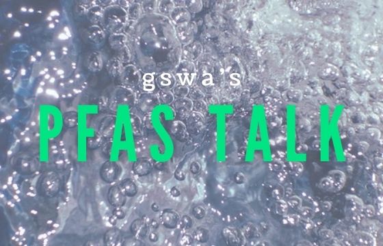 GSWA Briefing - FSAS Talk