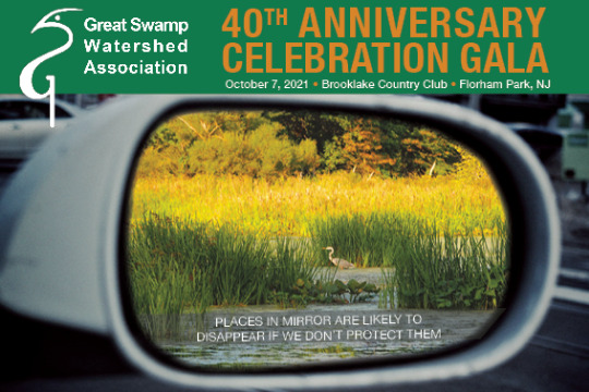 GSWA 2021 40th Anniversary Celebration Gala