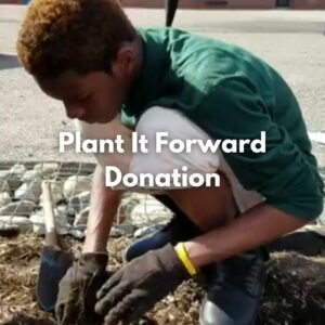 GSWA Plant It Forward Donation