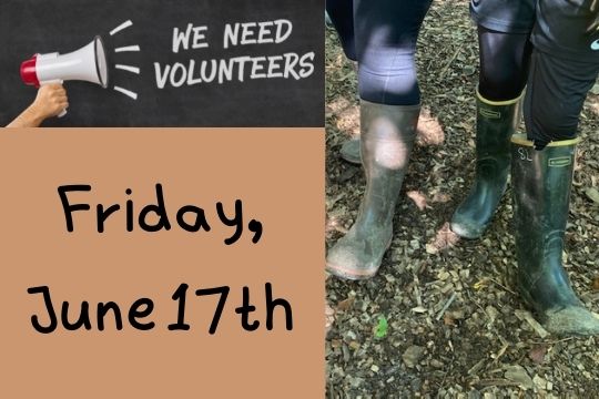 06-17-22 Volunteer Workday