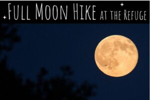 Full Moon Hike at the Refuge