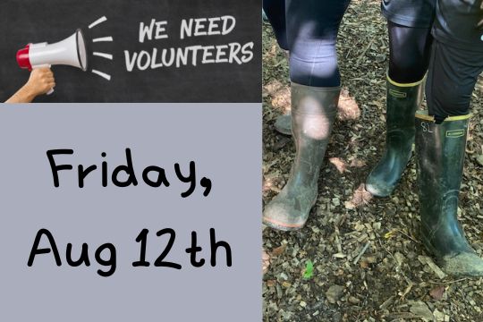08-12-22 Volunteer Workday
