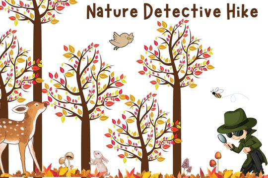 Nature Detective Hike