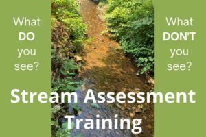 Stream Assessment Training