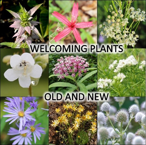 WELCOMING PLANTS OLD AND NEW