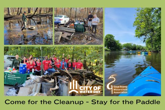 City of Water Day 2025